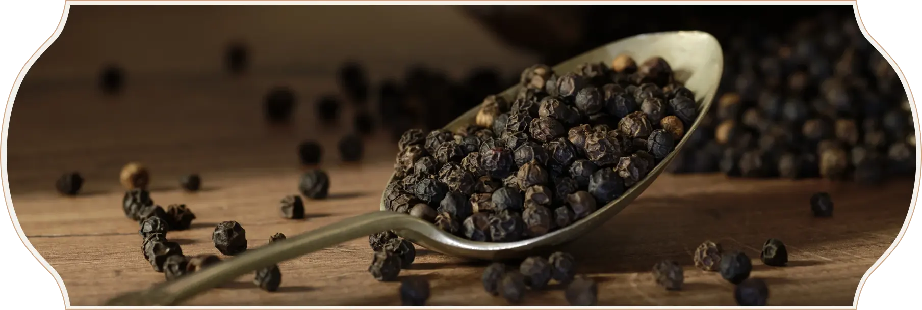 Nava Mani Enterprises