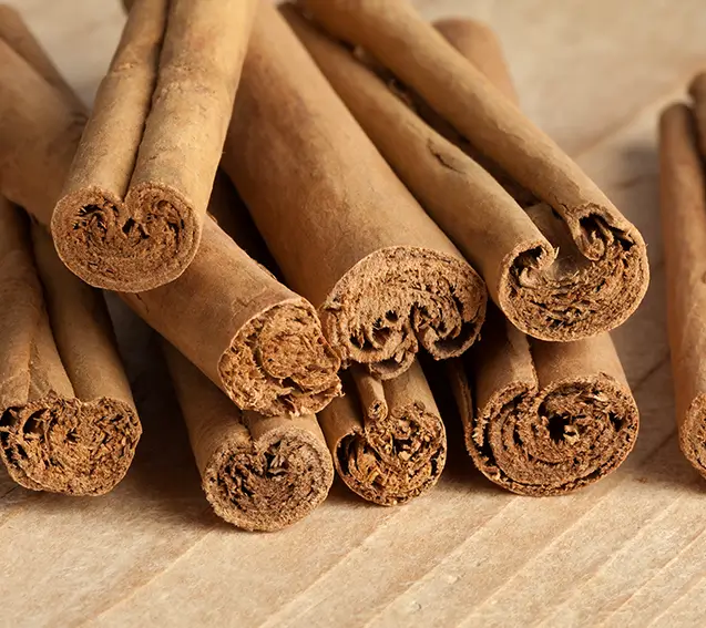 Nava Mani Enterprises