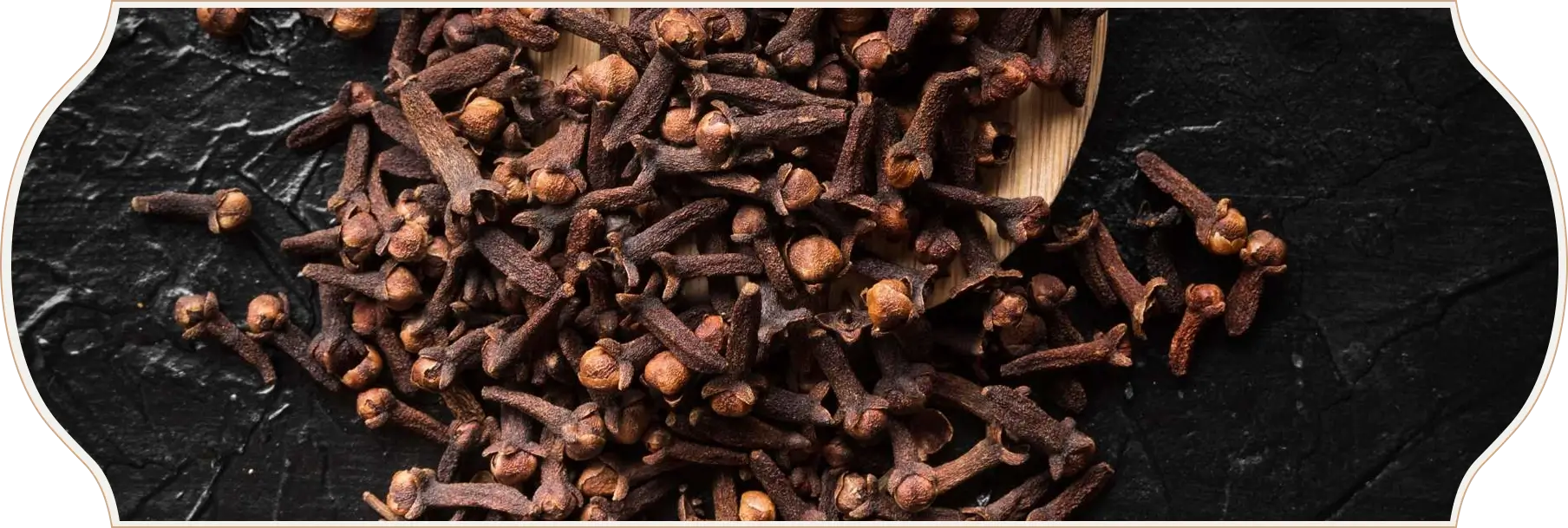 Nava Mani Enterprises