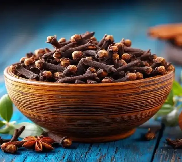 Nava Mani Enterprises