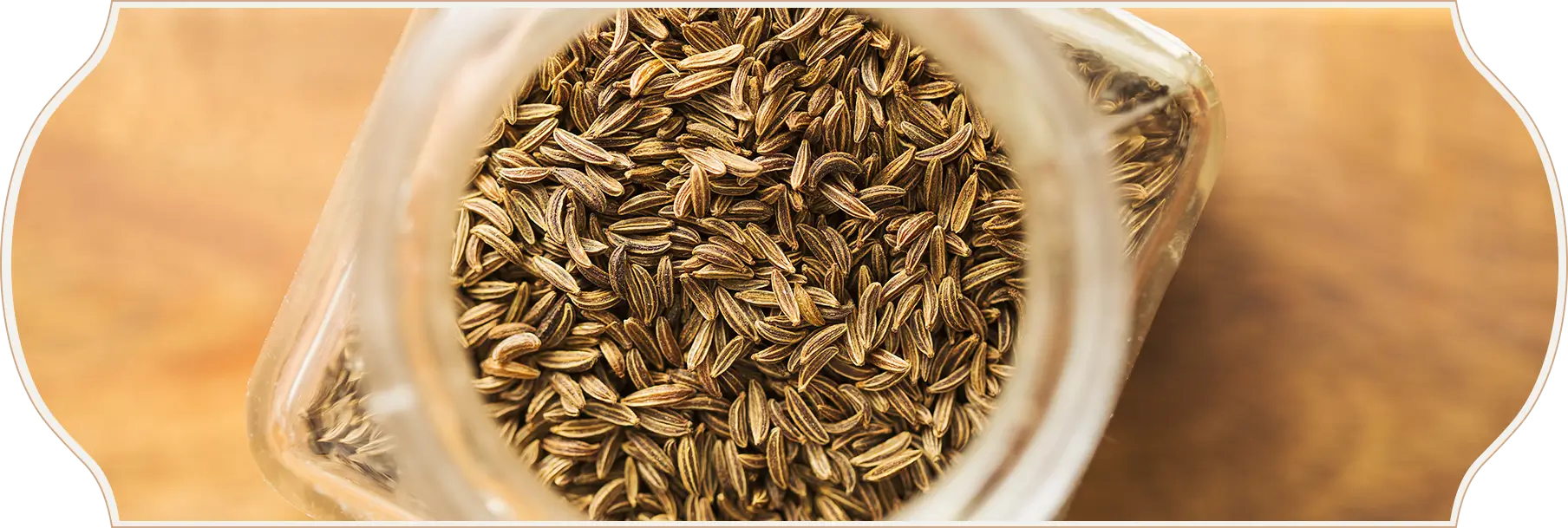 Nava Mani Enterprises