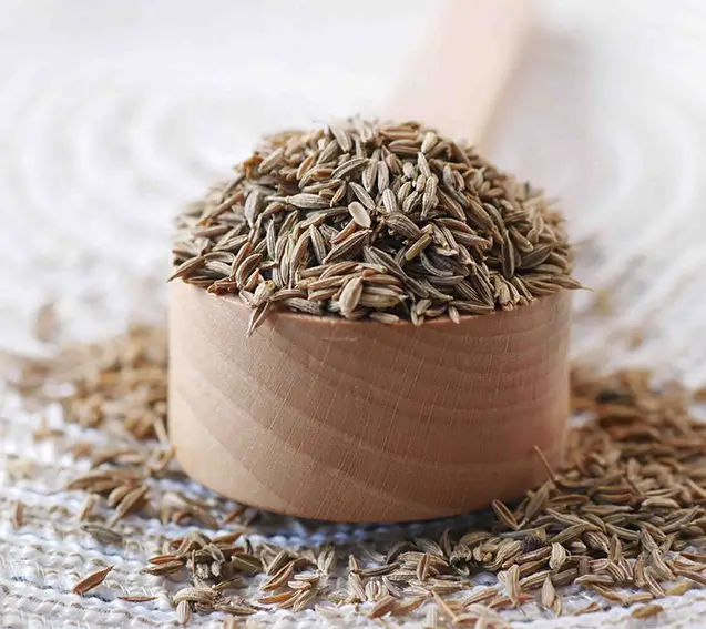 Nava Mani Enterprises