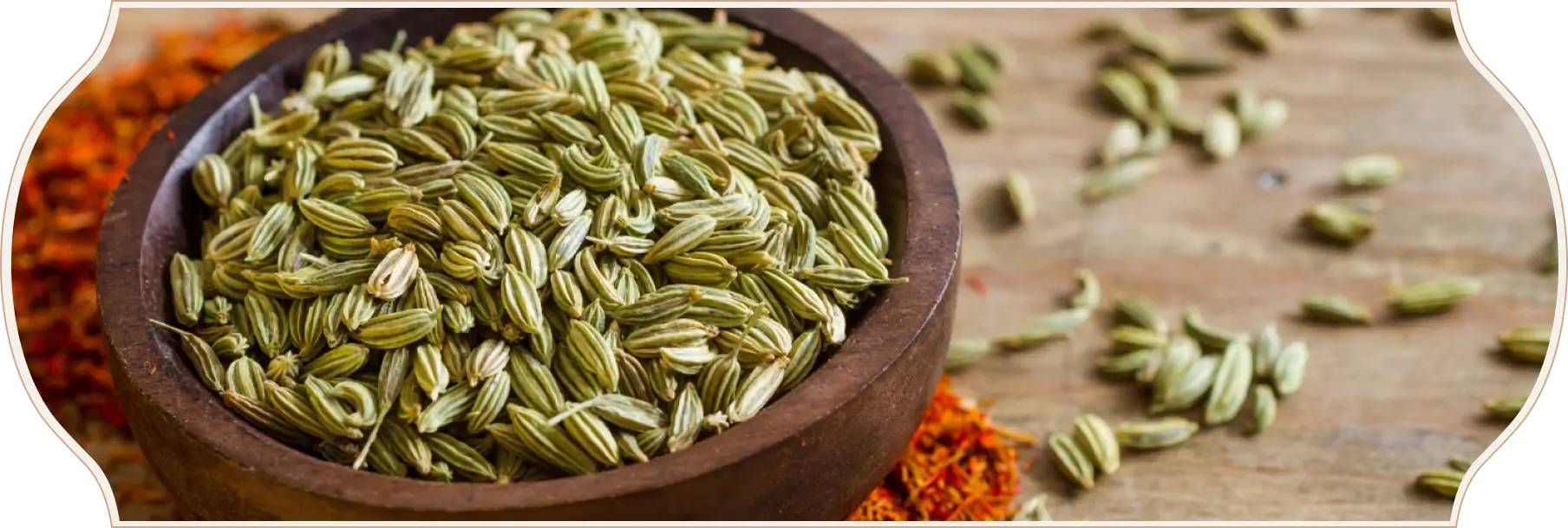 Nava Mani Enterprises