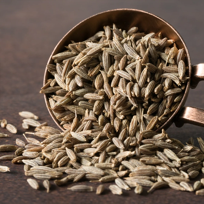 Nava Mani Enterprises, Puducherry, Fairmart Spices & KVS brands