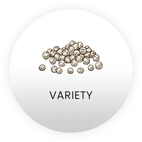 Nava Mani Enterprises